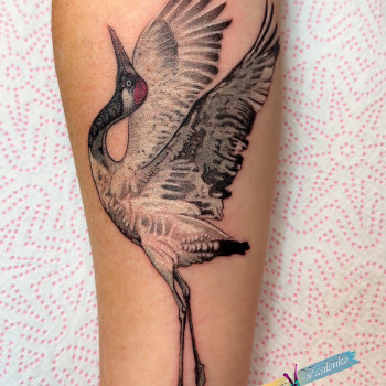 Тату. Мастер Максим Василенко.