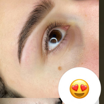 Оформлення та корекція брів
                    Майстер перманентного макіяжу Лина Кременчук