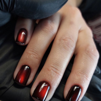 Світлана Гончарук, Житомир Фото - 10