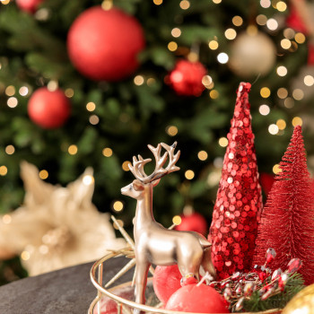 Fotox Studio, Дніпро Фото - 13