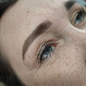 Моделювання брів
                    Бровіст  Житомир