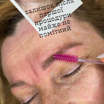 Микроволосок
                    Мастер перманентного макияжа Лина Кременчуг