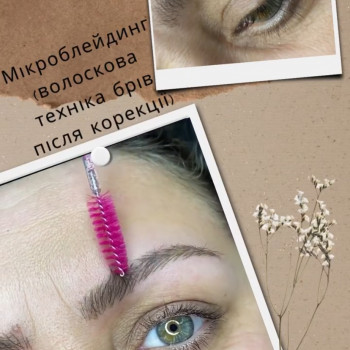 Микроволосок
                    Мастер перманентного макияжа Лина Кременчуг