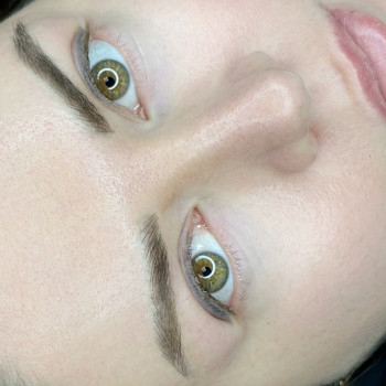 Микроволосок
                    Мастер перманентного макияжа Лина Кременчуг