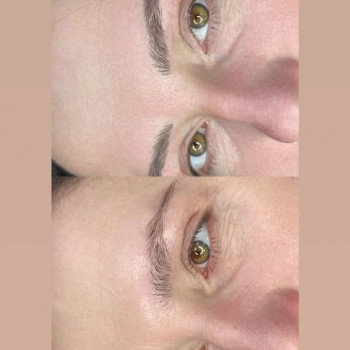 Микроволосок
                    Мастер перманентного макияжа Лина Кременчуг