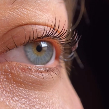 Ламінування вій / брів
                    Майстер перманентного макіяжу Лина Кременчук