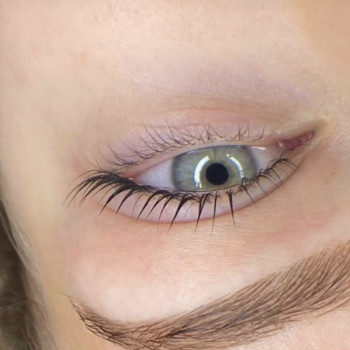 Ламінування вій / брів
                    Майстер перманентного макіяжу Лина Кременчук