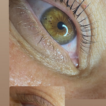 Ламінування вій / брів
                    Майстер перманентного макіяжу Лина Кременчук