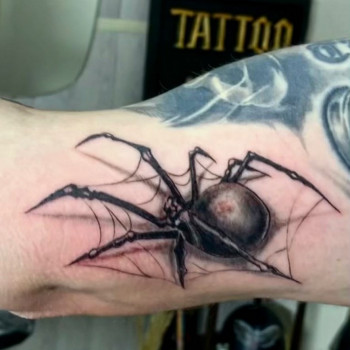 Володимир Сорока, Харків Фото - 4