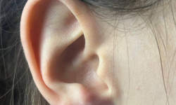 Мочка вуха Тату салон МОЖНА ТАТУ Черкассы