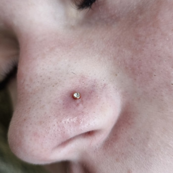 Прокол крыла носа