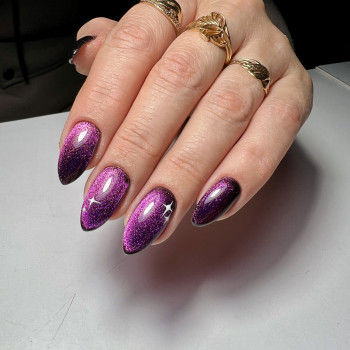 Прекрасна кішка на чорній підложці