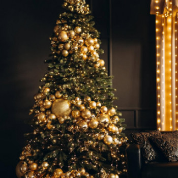 Skyloft, Хмельницкий Фото - 6