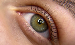 Ламинирование ресниц Бровист  Киев