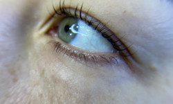 Покраска ресниц Бровист  Киев