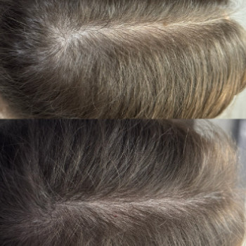 Koala, Полтава Фото - 6