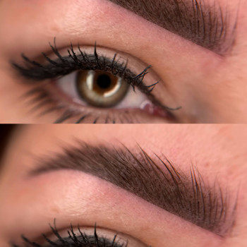 Перманент брів