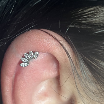 Проколи хрящів
                    Майстер з пірсингу  Черкаси