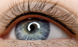 Перманент век. Одесса. 2 ст ФОНТАНА Тату мастер Ирина Одесса