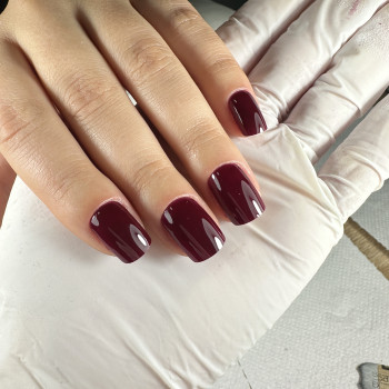 Манікюр з покриттям гель лак
                    Мастер маникюра Ганна Днепр