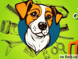 Салон красоты PanPatron Днепр,Володимира Антоновича, 6