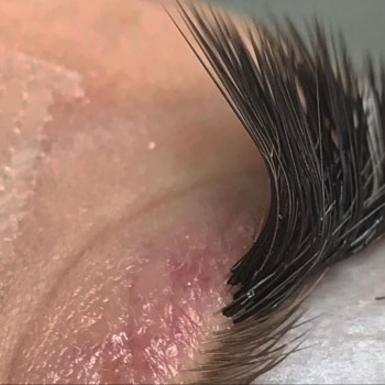 Мега объем
                    Лешмейкер  Запоріжжя