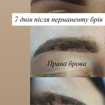 Тетяна Літвінчук, Хмельницький Фото - 9