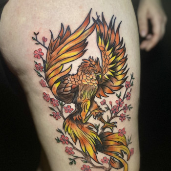 цветные, феникс