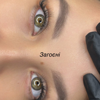 Пудровые брови татуаж бровей пудровое напыление, фото - Мастер перманентного макияжа Дана