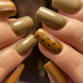 Анна Скалига, Кам'янець-Подільський Фото - 20