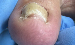  Подолог Виктория Борисполь