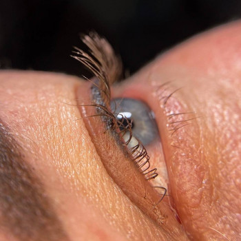 Фото з портфоліо майстра Наталія Веремійчук (бровіст, Ірпінь)