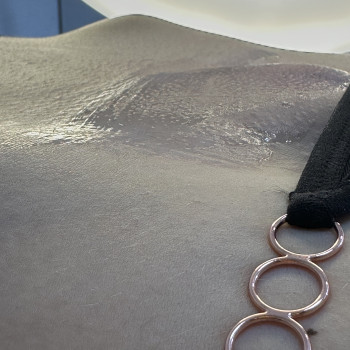 Зона бікіні