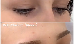 Перманент брів / чи перекриття Мастер перманентного макияжа Алиса Днепр