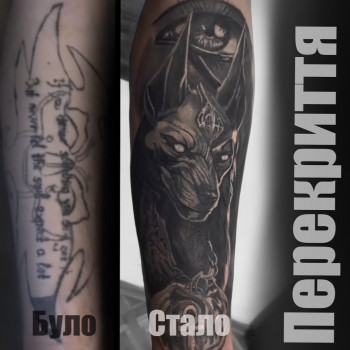 Максим Ньюскуленко, Сумы Фото - 8