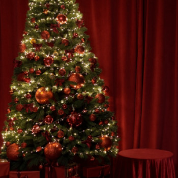 Фабрика, Суми Фото - 5