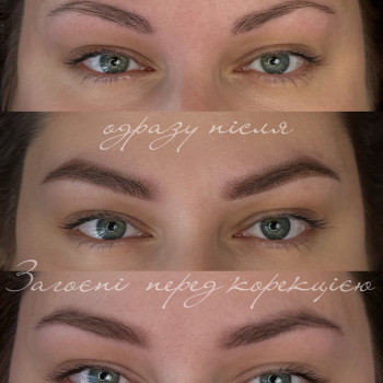 Перманентний макіяж брів пудрова техніка 
  
   