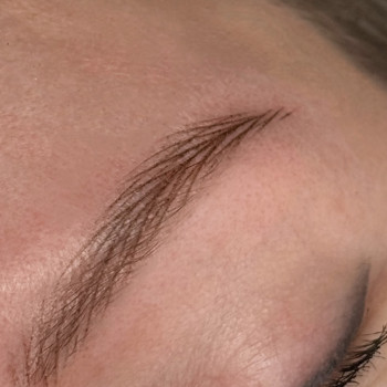 Волоскова техніка перманенту брів 
 
 
 
 
 
 
 
 
 
 
 
 
 
 