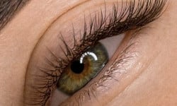  Лешмейкер  Киев