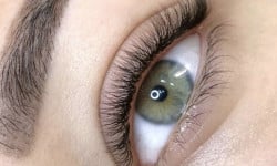  Лешмейкер  Київ