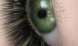  Лешмейкер  Київ