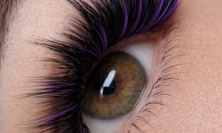  Лешмейкер  Київ