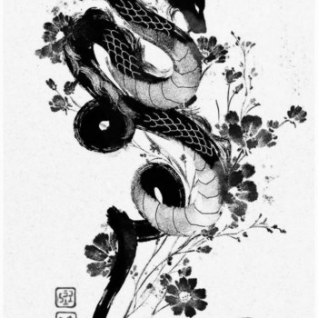 эскиз, дракон