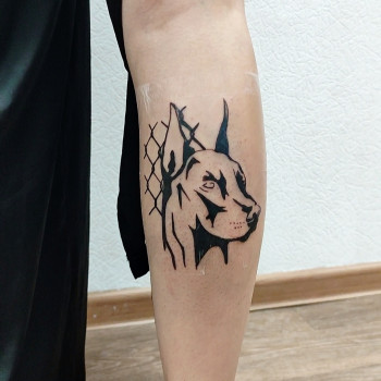 Тату доберман
   