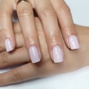 Semizwetik, Київ Фото - 5