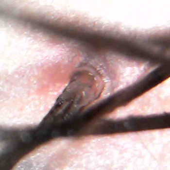 Ольга Токарева, Київ Фото - 6