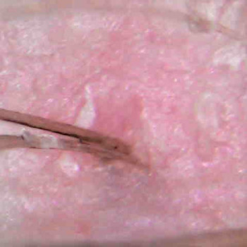 Ольга Токарева, Київ Фото - 9