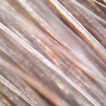 Ольга Токарева, Київ Фото - 13