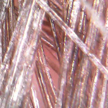 Ольга Токарева, Київ Фото - 18