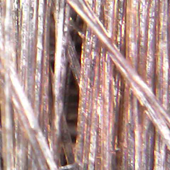 Ольга Токарева, Київ Фото - 19